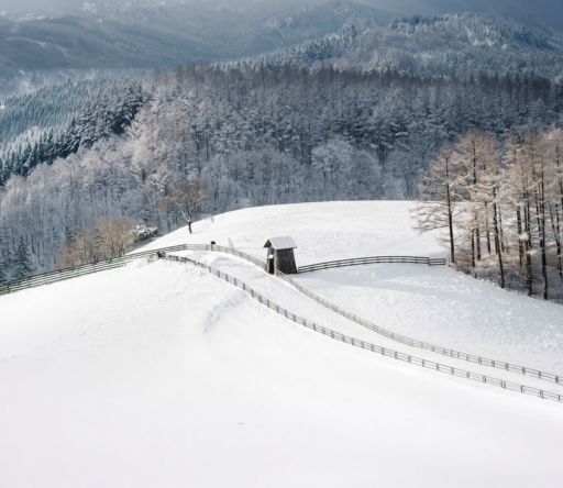 Festival d’hiver de Pyeongchang