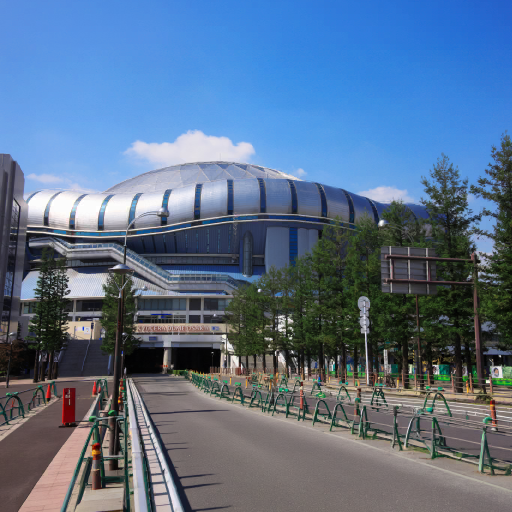 Kyocera Dome Osaka - Orix Buffaloes