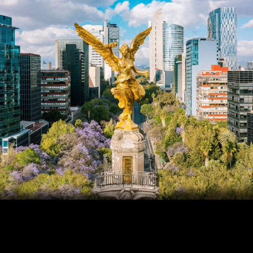 Mexico City Safari 2023