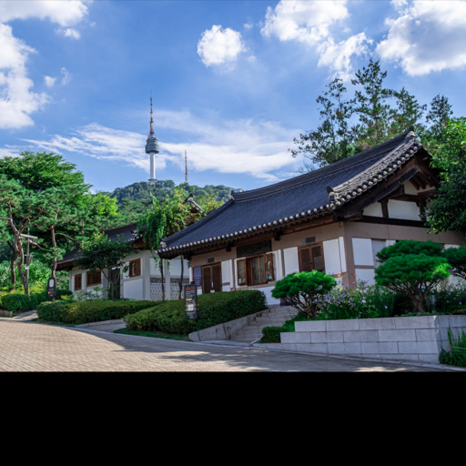 Seoul City Safari 2023