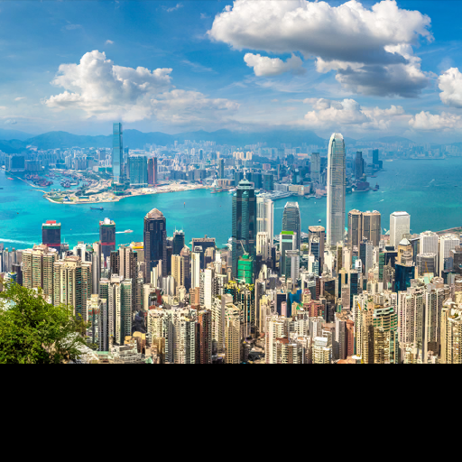 HongKong City Safari 2024