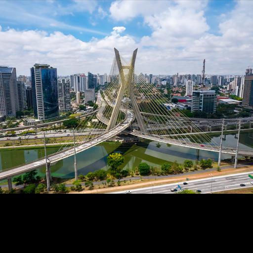 Sao Paulo City Safari 2024