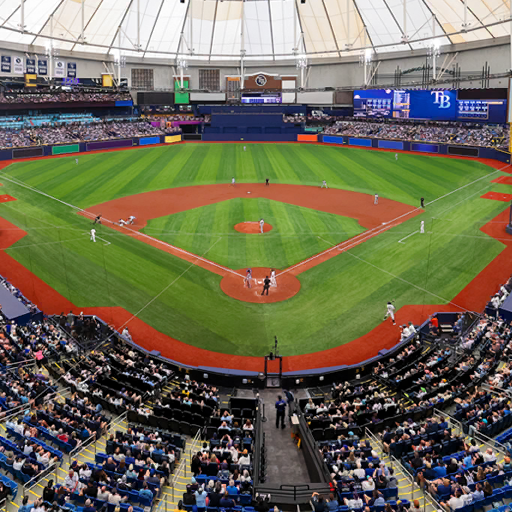 Tampa Bay Rays 2