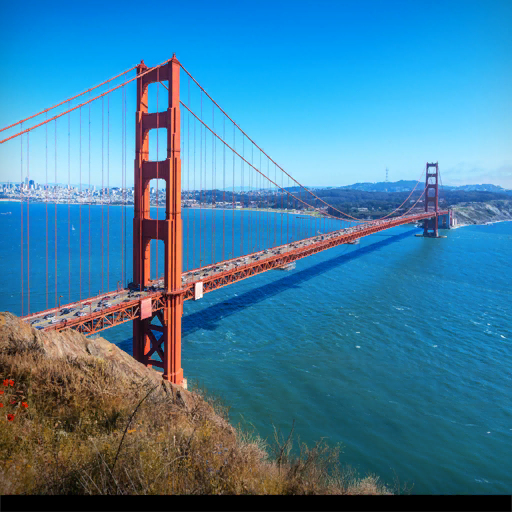 San Francisco WCS 2026