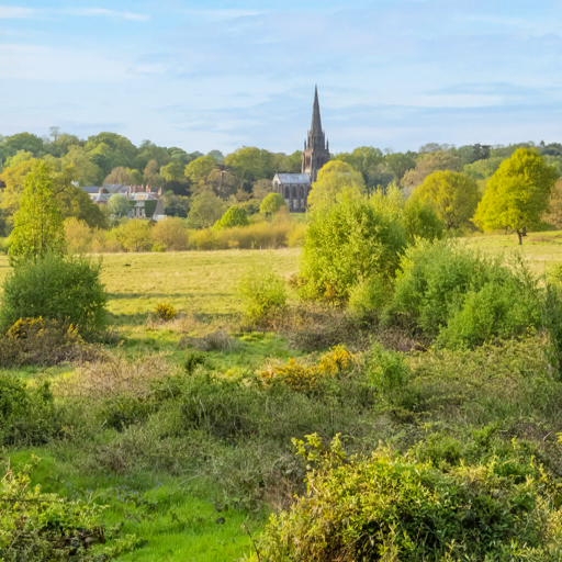 Clumber Park