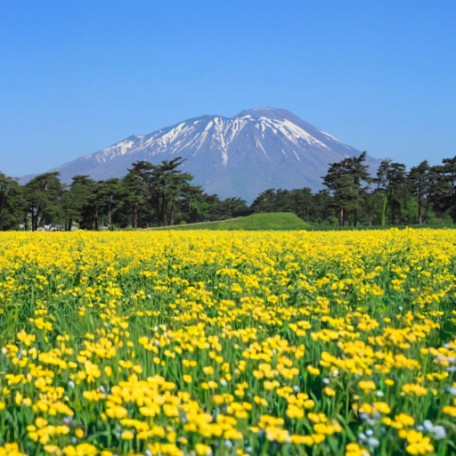 Lids de Iwate