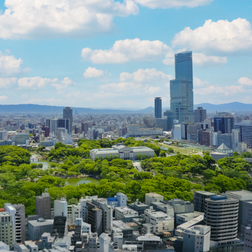 Lids de Osaka