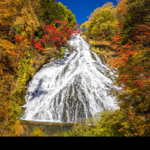 Lids de Tochigi