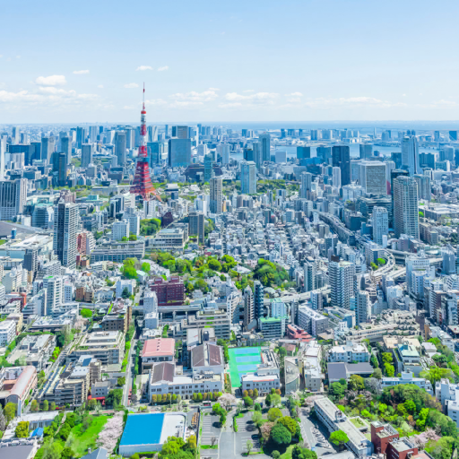 Lids de Tokyo