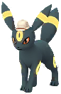 Chapeau Explorateur