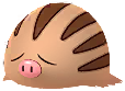 Marcacrin