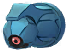 Terhal