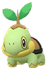 Tortipouss