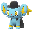 Fashion