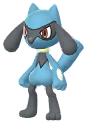 Riolu
