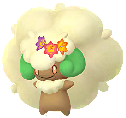 Couronne Fleurs