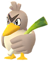 Canarticho